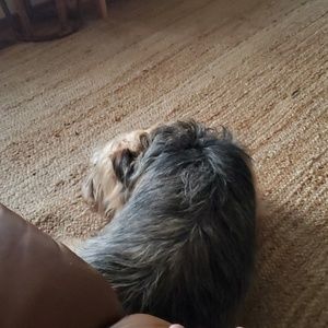 Meet your Posher, Steve